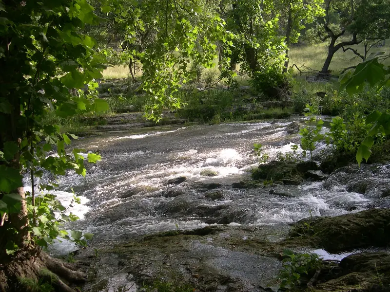 The spring-fed creek called Spring Branch, the stream the town is named for, near Rittiman Road